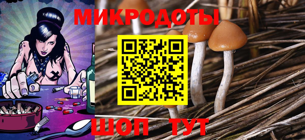Галлюциногенные грибы Psilocybine cubensis  Вход с VPN  Реутов  цены   Псилоцибиновые грибы ЛСД 